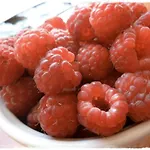Ambrosia Aosta