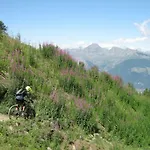 Ambrosia Aosta
