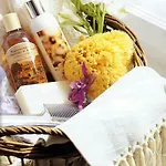Ambrosia Bed & Breakfast