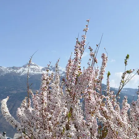 Ambrosia Nocleg ze śniadaniem 4*