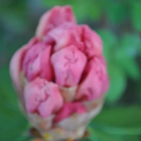 Ambrosia Nocleg ze śniadaniem Aosta