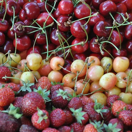 Ambrosia Nocleg ze śniadaniem 4*