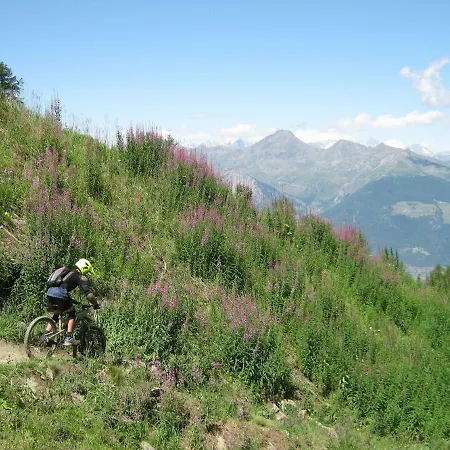 Ambrosia Aosta