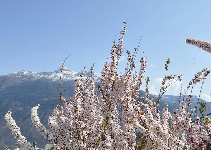 Ambrosia לינה וארוחת בוקר 4*