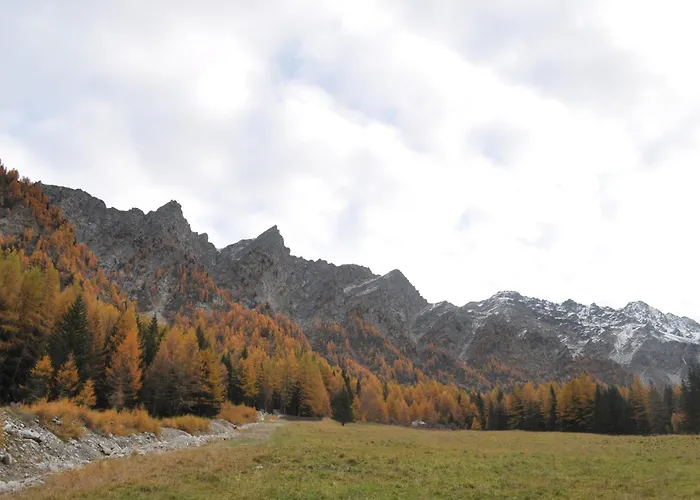 לינה וארוחת בוקר Ambrosia