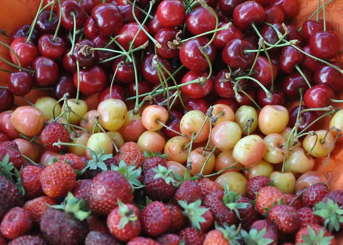 Ambrosia לינה וארוחת בוקר 4*