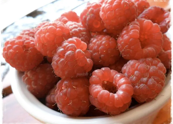 Ambrosia אאוסטה