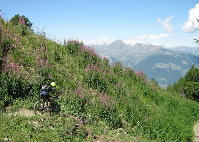 Ambrosia אאוסטה