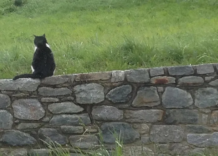 לינה וארוחת בוקר Ambrosia 4*